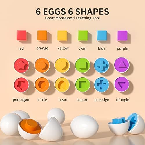 TEMI TODDLER piletina Igračke jaja - Boja podudaranje igara sorter sa 6 igračaka za djecu, fine motoričke vještine Sentory igračke,