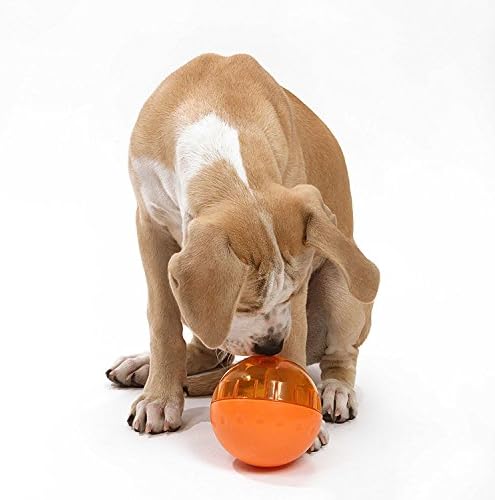 OurPets IQ tretiraju kugličnu interaktivnu doziranje hrane za pse, 4 inča